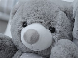 Подарочный набор Uviton Плед плюс Мишка Подарочный набор Uviton Плед плюс Мишка