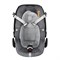 Maxi-Cosi Pebble Pro   
